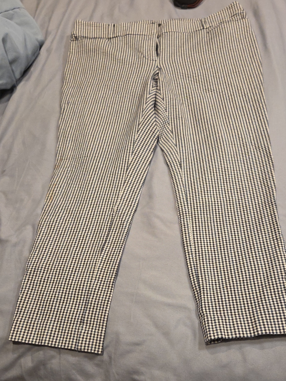 LOFT Black and White Gingham Pants